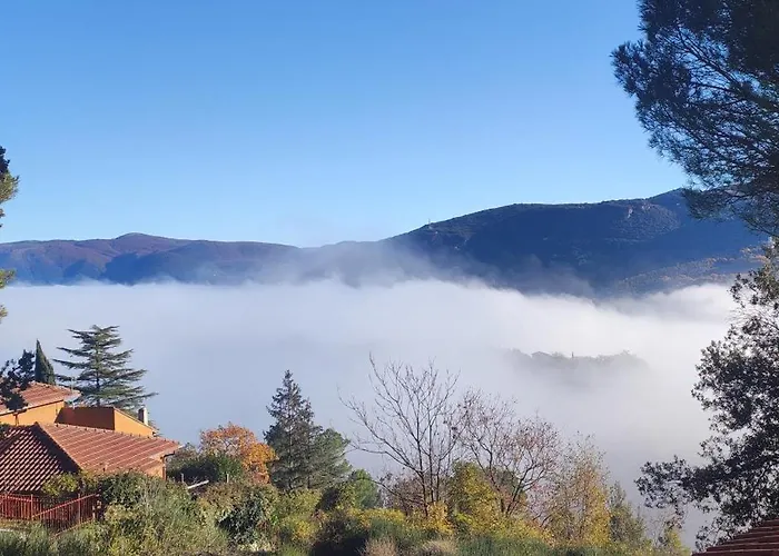 Profumo di Bosco
